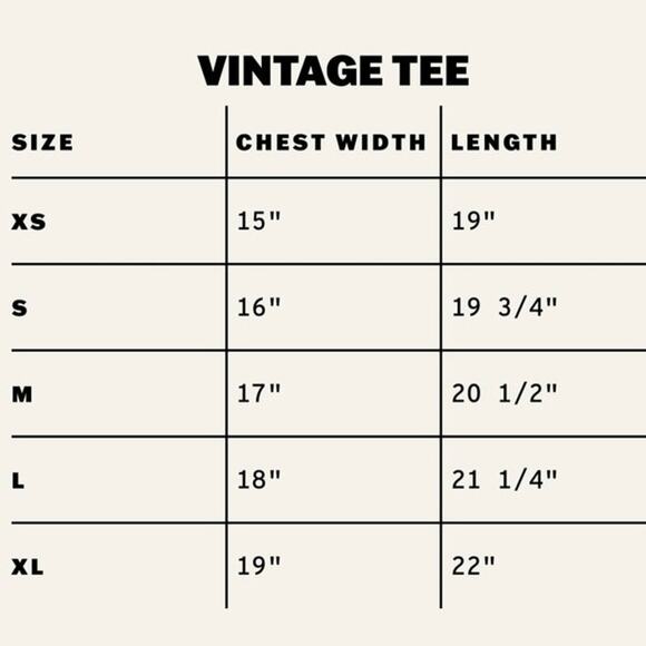 DAYDREAMER Weezer Blue Album Vintage Tee Size M New w/o Tag MSRP $88 - Picture 10 of 12